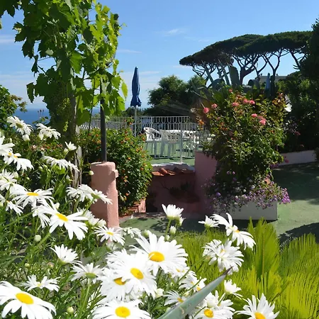 Bel Tramonto Hotel 3*